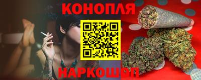 стаф Будённовск
